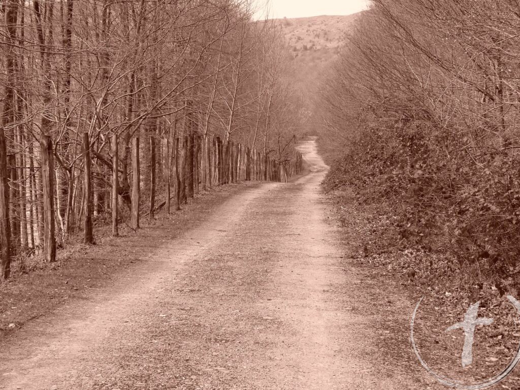 Bosquejo las sendas antiguas